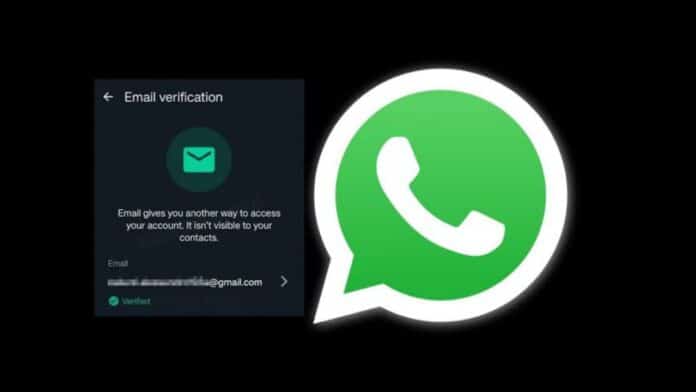 WhatsApp Email Verification Feature