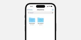 Find Downloaded Files on iPhone or Android