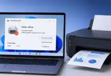 How to Fix Printer Offline Issues on Windows and Mac Fix Printer Offline
